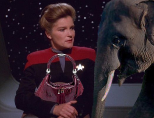 Janeway handbag elephant.jpg