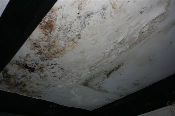 ceiling2.JPG