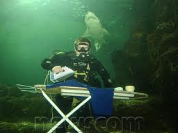 extreme_ironing1.jpg