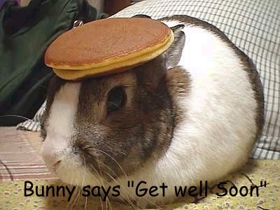 GetWellBunny.JPG