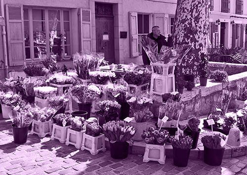 Flower stall.jpg