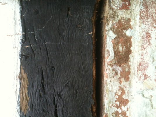 timber close up.JPG