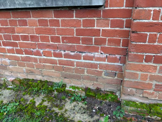 Example of the outside brickwork showing high ground levels, moss, and efflorescence of the bricks