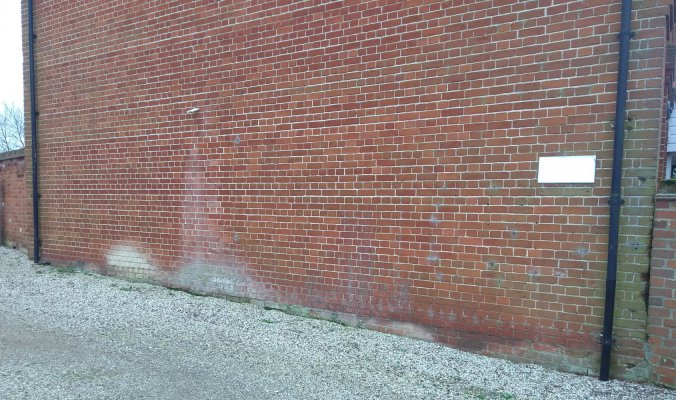 Picture showing an outside north facing wall with efflorescence to the brickwork, and damp bricks and moss along the bottom