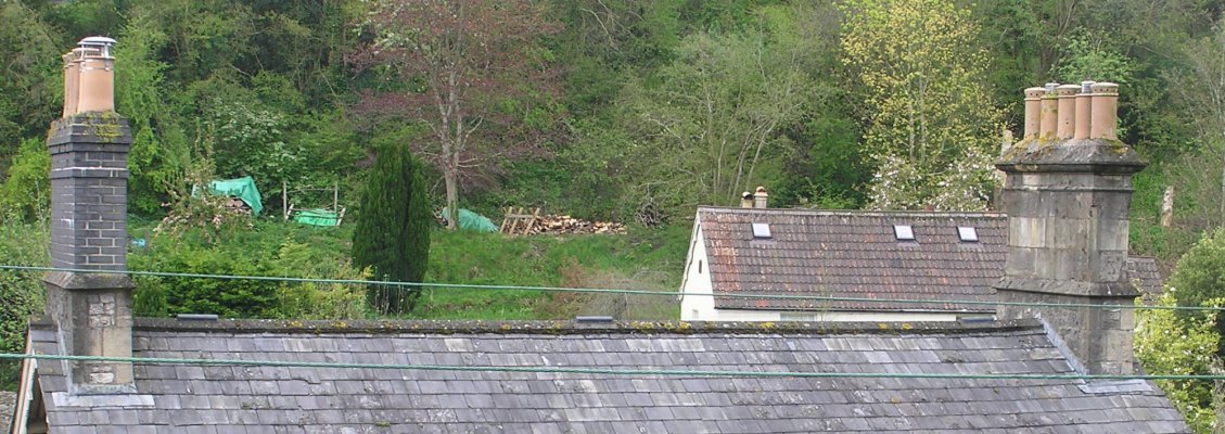 2010_P4250105 chimneys and ridge.jpg