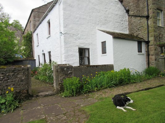 cottage with dog.JPG