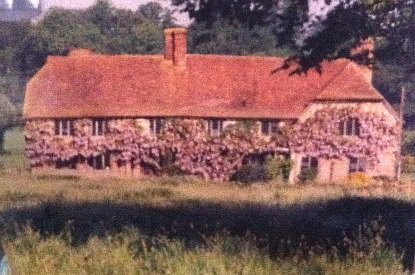 Malt house wisteria.jpg