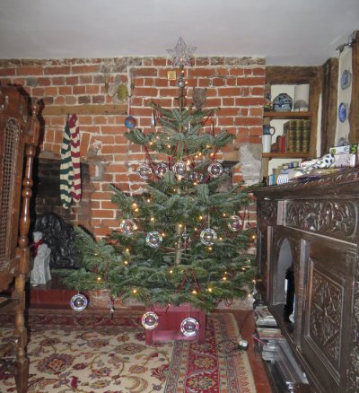 tree1.jpg