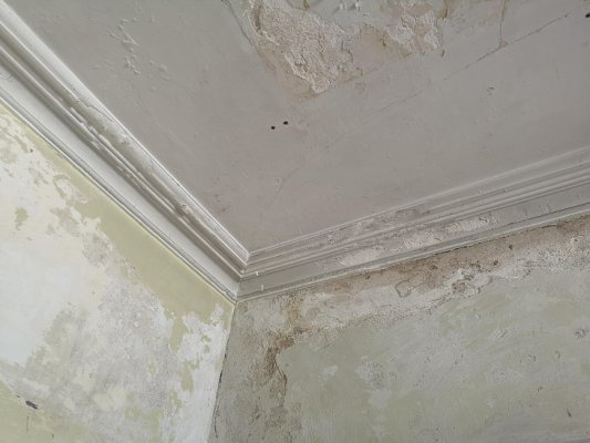 cornice 1.jpg